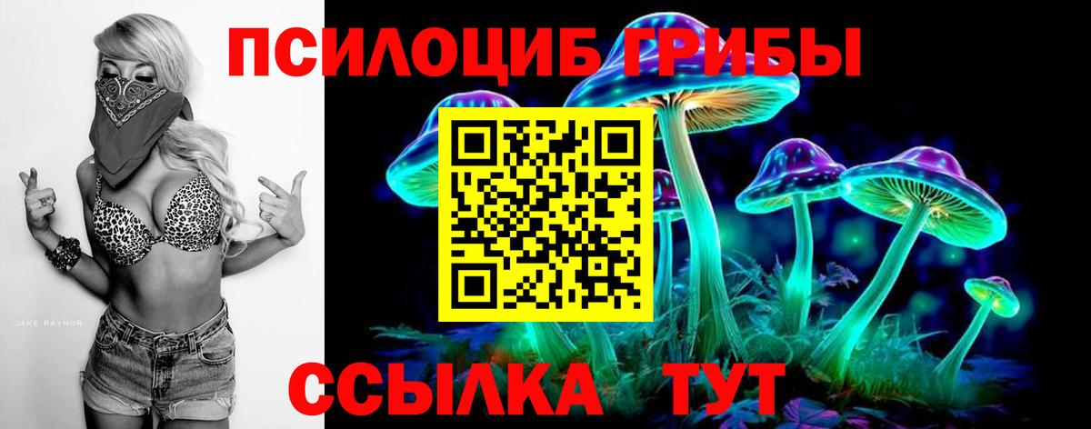 Псилоцибиновые грибы ЛСД  Вход с VPN  что такое   Заинск 